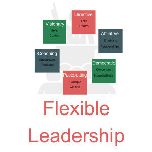 Flexible Leadership - benefit of leadership coaching
