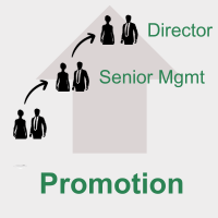 Promotion - coaching for senior managers